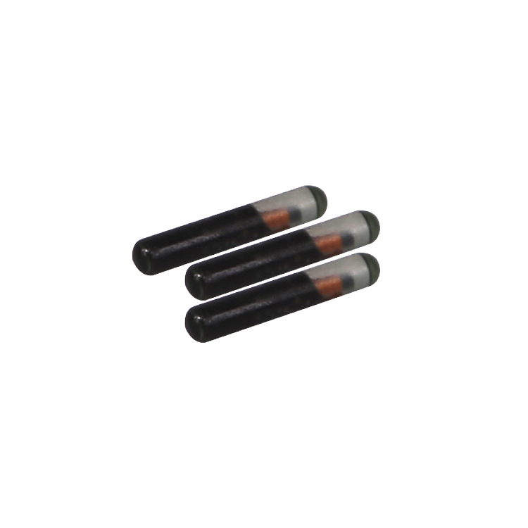 RFID Injectable Glass Tag for Cattle, Sheep and Livestock Identification
